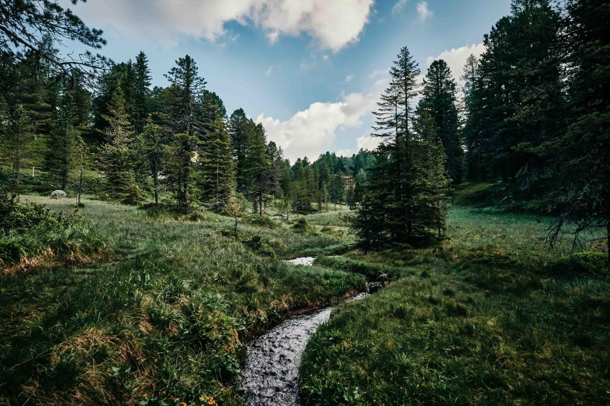 Hotel Hochschober Turracher Hohe Екстериор снимка